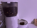 PAPIFEED自动喂食器猫咪小型智能投喂器定时定量喂猫器猫粮狗粮远程喂食机 实拍图