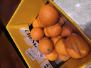 京鲜生 广西皇帝柑/贡柑 净重9斤 单果100g起 生鲜水果年货礼盒 实拍图