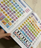 雷朗会说话的早教有声书幼小衔接点读书发声书儿童玩具生日礼物 实拍图