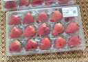 京鲜生 红颜奶油草莓 1斤装 15-20颗 单果22g+ 水果 春节也送货 实拍图