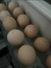 京鲜生【每日鲜蛋】无抗谷物鸡蛋30枚 3.18斤 当日产蛋 当日发货 实拍图