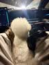 NOW FRESH狗粮 无谷小型犬全犬幼犬四叶草进口狗粮泪痕管理11.3kg-效期27/3 实拍图