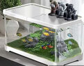 阔庭（KUOTING）鱼缸桌面透明生态鱼缸客厅水族箱白色 实拍图