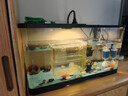 阔庭（KUOTING）鱼缸懒人鱼缸家用客厅办公室金鱼缸过滤鱼缸黑色款【大号】 实拍图