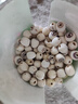 十月稻田 莲子 400g 湘潭产去芯磨皮白莲子 桂圆百合银耳羹煲汤食材 实拍图