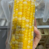 京鲜生甘肃水果玉米220g*8棒真空甜玉米棒低脂代餐免煮开袋即食源头直发 实拍图