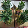 佳农 黑钻菠萝1粒装 菲律宾凤梨 净重2斤起 生鲜水果 源头直发 包邮 实拍图