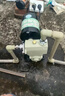 臣源增压泵家用全自动自吸泵热水器自来水全屋太阳能抽水泵加压管道泵 480W智能(缺水保护/液晶数显) 实拍图