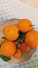 京鲜生 爱媛果冻橙 净重10斤装 单果180g起 生鲜水果柑橘桔子年货礼盒  实拍图