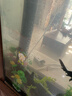 森森增氧泵家用充氧泵鱼缸增氧机超静音小型打氧机养鱼鱼缸氧气泵220V 【二代更静音】4W双孔气石套餐 实拍图