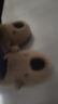利达妮（TZLDN）卡皮巴拉儿童棉拖鞋女童6-12岁冬季室内家用保暖加绒可爱拖鞋男孩 实拍图