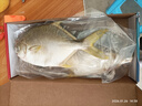 翔泰 冷冻二去金鲳鱼礼盒2斤2条净重 免处理 生鲜鱼类 海鲜水产  实拍图