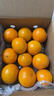 京鲜生 广西皇帝柑/贡柑 净重3斤 单果100g起 生鲜水果 实拍图
