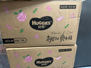 好奇（Huggies）铂金装小桃裤成长裤XXL74片(15kg以上)尿不湿【透爽散热】 实拍图
