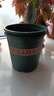 花盆绿植盆栽加厚塑料简约多肉小盆阳台客厅月季玫瑰大号家用花盆 高款1加仑(口径16cm)2个盆 不带托盘 实拍图