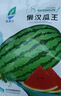 【西瓜套餐】西瓜种子西瓜阳台盆栽农家田园瓜种大全各种各样 冰糖麒麟西瓜种子1包约50粒 实拍图