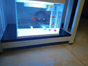 森森（SUNSUN）超白鱼缸一体缸自循环客厅水族箱桌面家用懒人免换水小型金鱼缸 超白HEJ300标配 带滤材+棉 实拍图