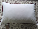 水星家纺枕头枕芯酒店枕头护颈枕头芯家用单个纯棉抗菌可水洗中枕48x74cm 实拍图