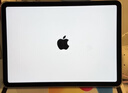 Apple/苹果 iPad11英寸 A16芯片2025年款 平板电脑 (256GB WLAN版/学习办公娱乐)银色 实拍图