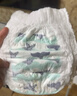 碧芭宝贝盛夏Pro拉拉裤XXL28片(≥15kg)学步裤 尿不湿超薄透气 秋冬不闷热 实拍图