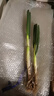 正宗山东大葱铁杆长葱好吃新鲜脆甜香章丘大葱葱头当季蔬菜可生吃 9斤【源头直采包邮】 实拍图
