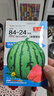 【西瓜套餐】西瓜种子西瓜阳台盆栽农家田园瓜种大全各种各样 冰糖麒麟西瓜种子1包约50粒 实拍图