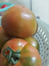 京鲜生 山东精品草莓番茄 净重3斤单果60+水果铁皮西红柿 源头直发 实拍图