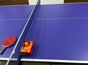 双鱼 乒乓球桌室内家用可折叠乒乓球台（ 京仓速发+网架）耐用JD500 晒单实拍图