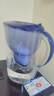 碧然德（BRITA） 家用滤水壶 净水壶滤芯 Maxtra 多效滤芯 3枚装 实拍图