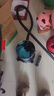 扬子桶式吸尘器家用大吸力2100W大功率20L干湿吹三用吸水除螨除尘机酒店地毯开荒装修车载吸尘机CX630P 实拍图