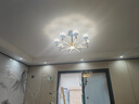雷士（NVC）美式轻奢现代轻奢客厅灯灯臂发光吊灯三室两厅套餐WHXD100W/G-01 实拍图