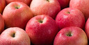 京鲜生 山东栖霞红富士苹果精品12粒 单果190g-240g  水果礼盒 实拍图