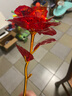 七彩炫光玫瑰花星空彩金浪漫情人节七夕送老婆女友生日礼物金箔 彩金红玫瑰花 【送它一朵永不凋零的爱意玫瑰】 实拍图