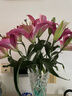 悦多彩AB级优质香水百合 家庭办公室各色生活鲜花 昆明基地 现采直发 随机单色百合10朵（双头5枝） 实拍图