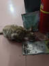 LEGENDSANDY蓝氏全价猫粮成猫幼猫生骨肉冻干粮 猎鸟乳鸽500g 实拍图