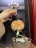 晨色护肤品挖勺面膜化妆品身体乳挖取勺眼霜面霜粉底液工具分装小勺子 实拍图