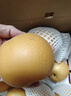 京鲜生 莱阳秋月梨冰糖梨 净重10斤 单果250g+ 生鲜水果家庭装 实拍图
