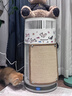 霍尼韦尔（Honeywell）宠物空气净化器吸猫毛除过敏源猫猫搭子 猫毛净化器杀菌消毒除异味KJ360F-C22W 实拍图