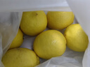 京鲜生 安岳黄柠檬 8粒 单果95g起 生鲜水果 实拍图