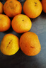 京鲜生 正宗广西砂糖桔4.5斤装 单果35mm+ 花皮 水果年货 源头直发包邮 实拍图