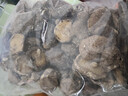 西峡香菇干货新货冬菇大香菇新鲜菌类土特产炒菜餐饮食材产地直供 西峡大香菇500g 西峡香菇/产地直供 实拍图