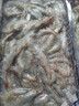 小白虾 鲜活速冻脊尾白虾海虾 连云港产地直发 200g*5包 实拍图
