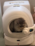小佩AI智能全自动打包猫厕所ULTRA 可视猫砂盆一键换砂(支持鸿蒙智联) 实拍图