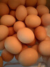 京鲜生柴鸡蛋30枚 3斤 无抗生素 谷物喂养鲜鸡蛋 源头直发 实拍图