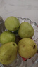 京觅福建奶油芭乐 单果150g起  净重3斤装番石榴 水果  源头直发包邮 实拍图