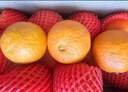 京鲜生 爱媛果冻橙 净重10斤装 单果180g起 生鲜水果柑橘桔子年货礼盒  实拍图