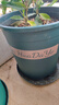 花盆绿植盆栽加厚塑料简约多肉小盆阳台客厅月季玫瑰大号家用花盆 高款5加仑(口径26.5cm)2个盆 配套托盘 实拍图