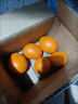 玖原农珍 赣南脐橙新鲜橙子含箱10斤净重9斤优选果150-300g 年货水果礼盒 实拍图