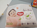 好奇（Huggies）铂金装小桃裤拉拉裤XL64片(12-17kg)加大号尿不湿【透爽散热】 实拍图