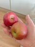 2025正宗云南昭通冰糖心丑苹果新鲜水果苹果当季脆甜水果产地直发 2斤装小果（60-70mm） 实拍图